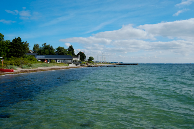 dk_005.jpg